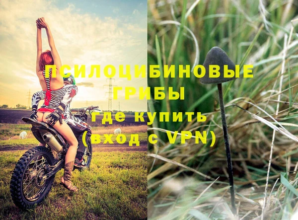 гидропоника Надым