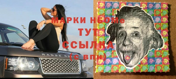 гашик Гусь-Хрустальный
