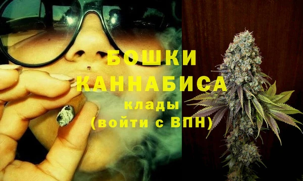гашик Гусь-Хрустальный