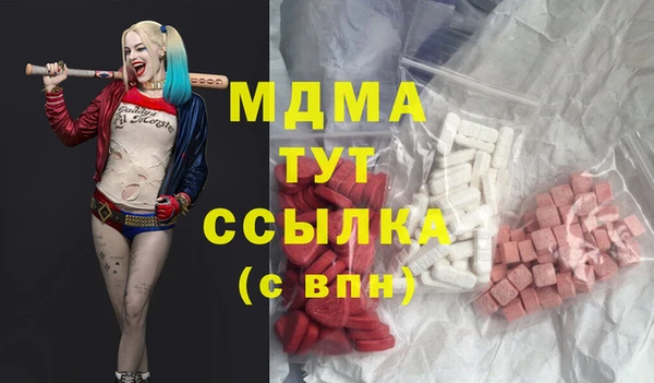 гашик Гусь-Хрустальный