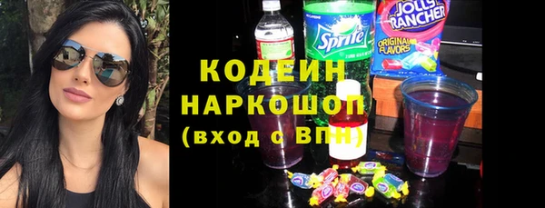 гашик Гусь-Хрустальный