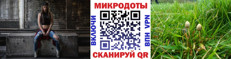 Галлюциногенные грибы прущие грибы  Перевоз 